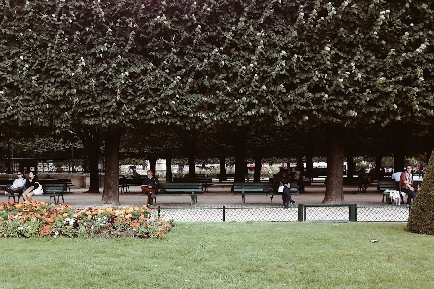 Trees, benches, and a flowerbed along a park path